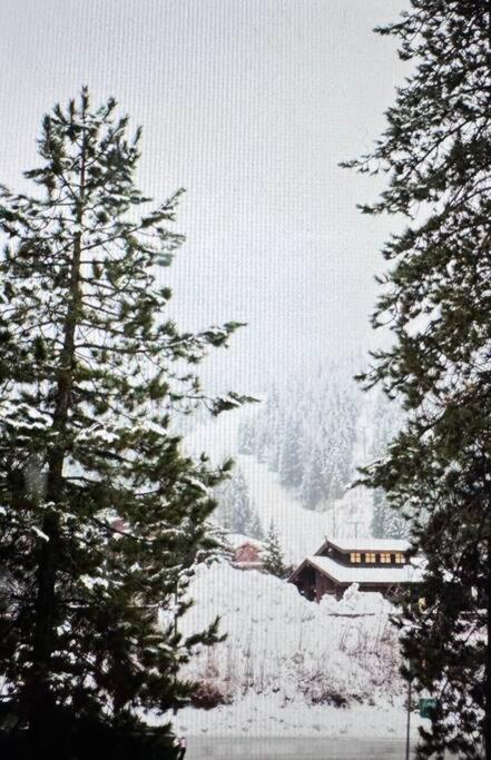 Powder & Pines Luxury Suite Whistler Dış mekan fotoğraf